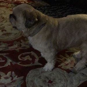 Meet your Posher, Sami